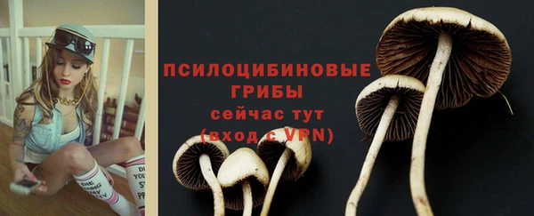 Альфа ПВП Дмитров