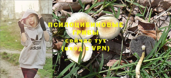 экстази Дмитриев