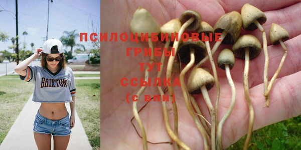 экстази Дмитриев